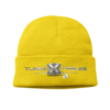 TTT Silver Logo Badge Beanie Hat